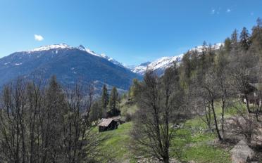Terrain à bâtir - image - 3