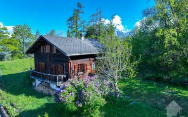 Chalet 6.5 Zimmer - image - 1