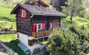 Chalet 4.5 Zimmer - image - 1