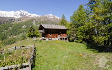 Chalet 4.5 rooms - image - 1
