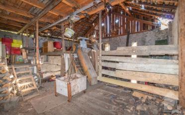 Einfamilienhaus 8 Zimmer - image - 8