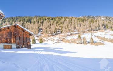 Ferme - image - 2