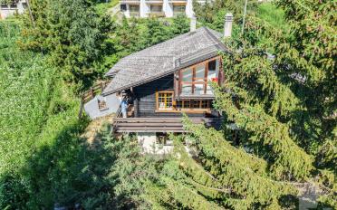 Chalet 6.5 pièces - image - 2