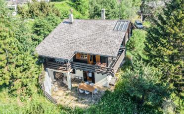 Chalet 6.5 pièces - image - 1