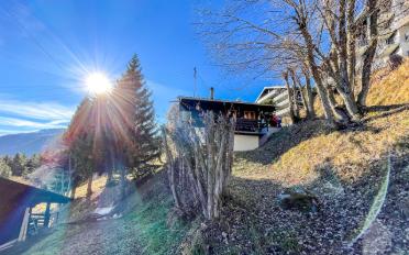 Chalet 6.5 pièces - image - 6
