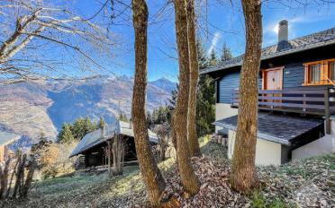 Chalet 6.5 pièces - image - 7