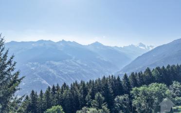 Chalet 6.5 pièces - image - 8