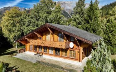 Chalet 5.5 Zimmer - image - 4