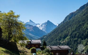 Terrain à bâtir - image - 4