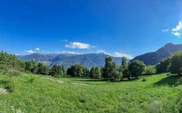 Chalet 5.5 Zimmer - image - 2