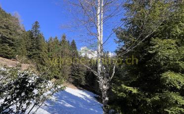 Chalet - image - 9