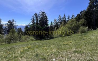 Terrain à bâtir - image - 4