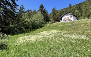 Terrain à bâtir - image - 6
