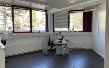 Workshop - image - 5