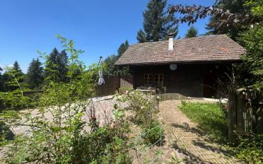 Chalet 7.5 pièces - image - 13