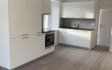 Wohnung 3.5 Zimmer - image - 1