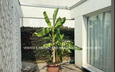 Villa 7 Zimmer - image - 9