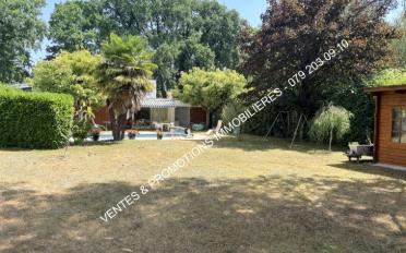Villa 7 Zimmer - image - 15