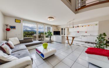 Duplex 3.5 rooms - image - 2
