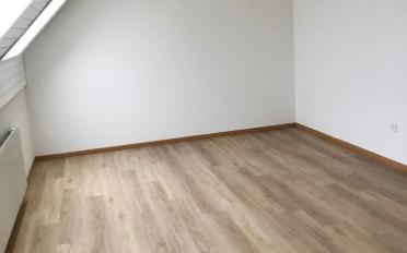 Wohnung 2.5 Zimmer - image - 4