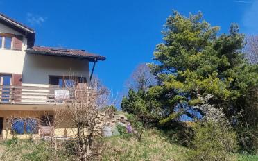 Doppeleinfamilienhaus 5.5 Zimmer - image - 5