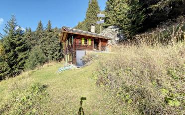 Chalet 3 Zimmer - image - 10