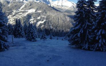 Chalet 8 rooms - image - 10