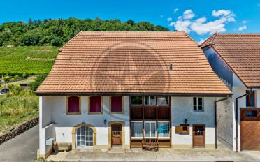 Einfamilienhaus - image - 1