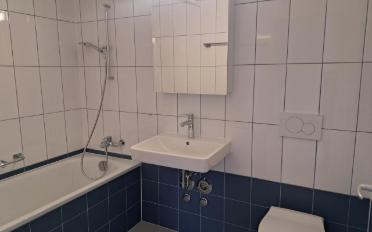 Appartement 2.5 pièces - image - 8