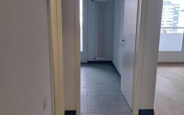 Appartement 2.5 pièces - image - 7