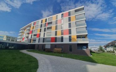 Wohnung 2.5 Zimmer - image - 1