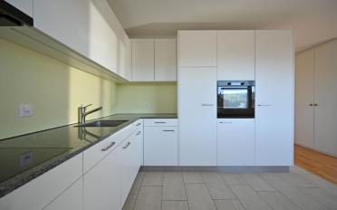 Wohnung 4.5 Zimmer - image - 4