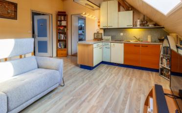Doppeleinfamilienhaus 5.5 Zimmer - image - 13