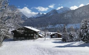 Chalet 4.5 Zimmer - image - 13
