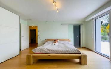 Single house 7.5 rooms - image - 12
