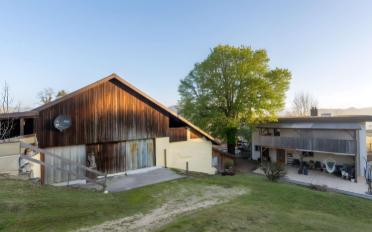 Farm house 13.5 rooms - image - 6