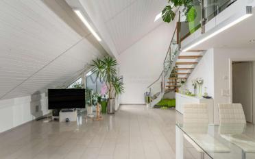 Wohnung 3.5 Zimmer - image - 5
