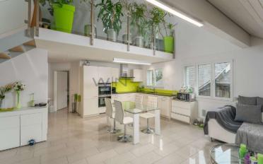 Wohnung 3.5 Zimmer - image - 1