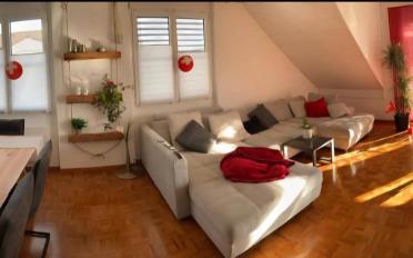 Wohnung 4.5 Zimmer - image - 3