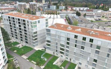 Wohnung 2.5 Zimmer - image - 2