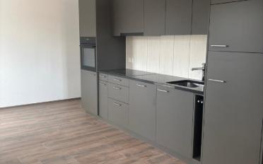 Apartment 3.5 rooms - image - 3