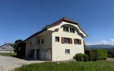 Wohnung 5.5 Zimmer - image - 1