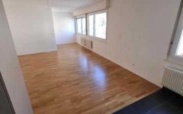 Appartement 1.5 pièces - image - 6