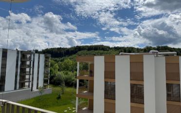 Apartment 2.5 rooms - image - 7