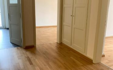 Apartment 2.5 rooms - image - 5