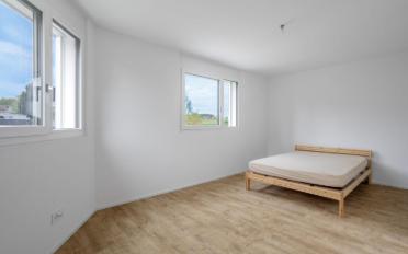 Doppeleinfamilienhaus 5.5 Zimmer - image - 10