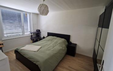 Appartement 2.5 pièces - image - 5