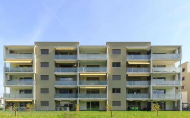 Apartment 2.5 rooms - image - 4