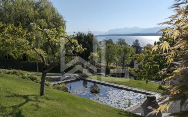 Einfamilienhaus 12 Zimmer - image - 10