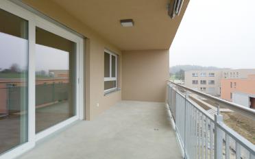 Apartment 2.5 rooms - image - 7